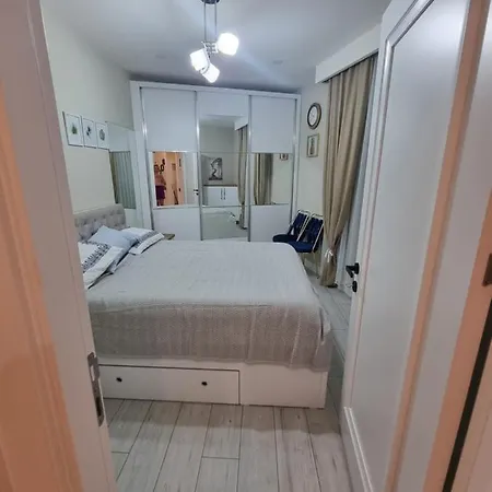 Royal Exclusive Kleopatra, * Αλάνια